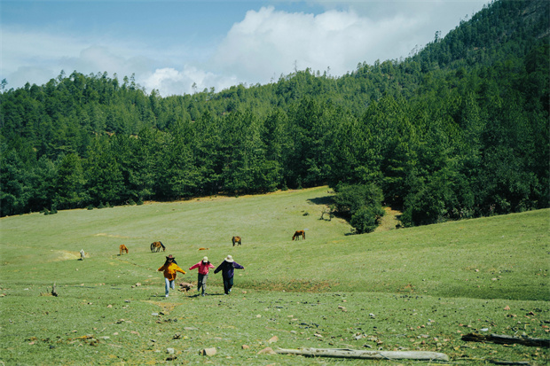 云南旅游,云南旅行社,云南團建公司,云南策劃公司,云南會議會展,云南旅游地接,怒江旅游,怒江旅行社,怒江團建公司,怒江策劃公司：“被羅古箐的山野擁抱、滌凈，再神清氣爽地回去”